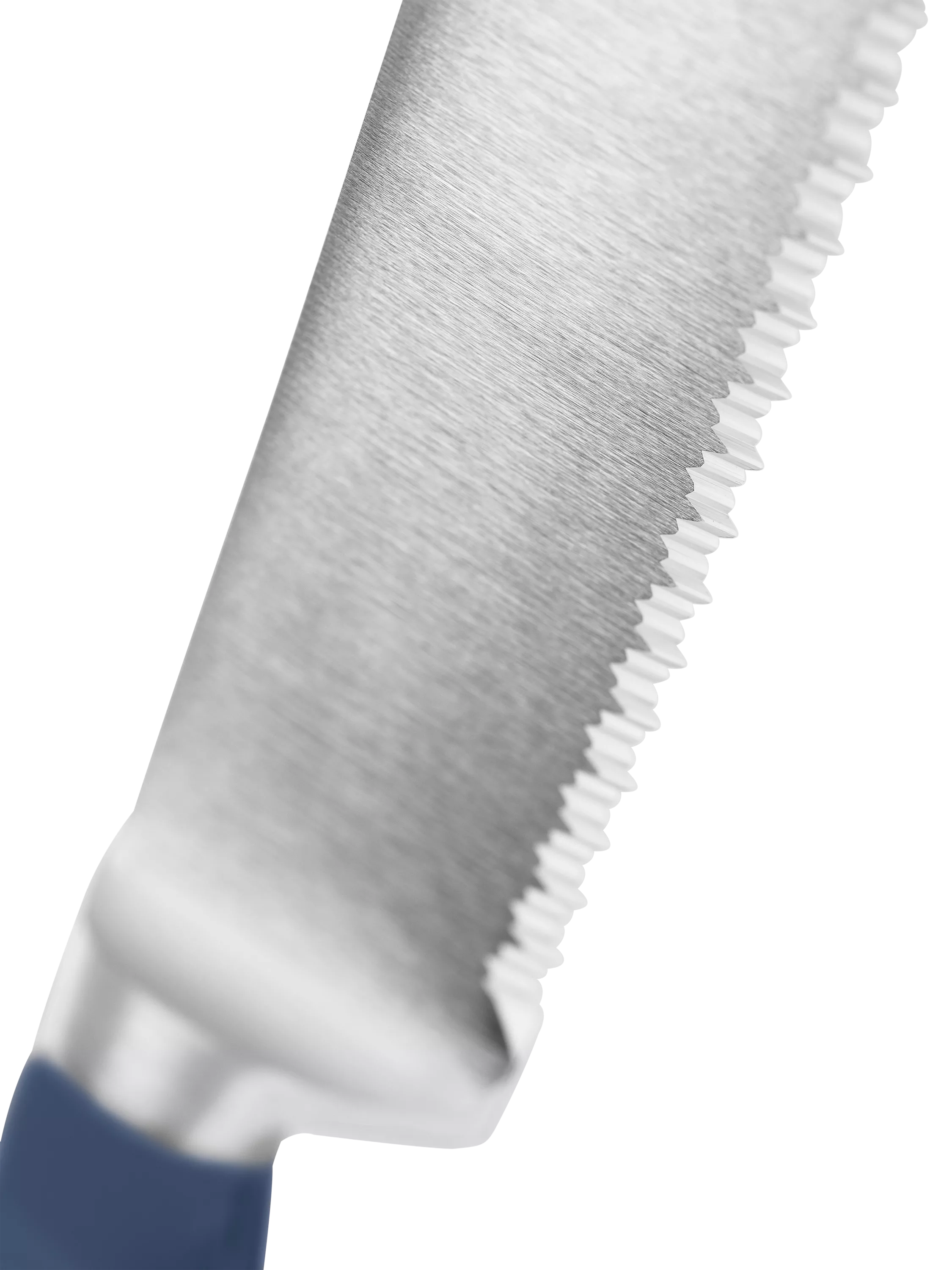 WÜSTHOF bread knife Wild Blueberry 23cm, imported from the UK