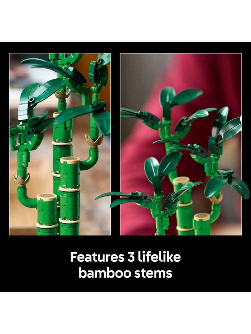 LEGO Botanicals Lucky Bamboo building set 10344, imported from the UK