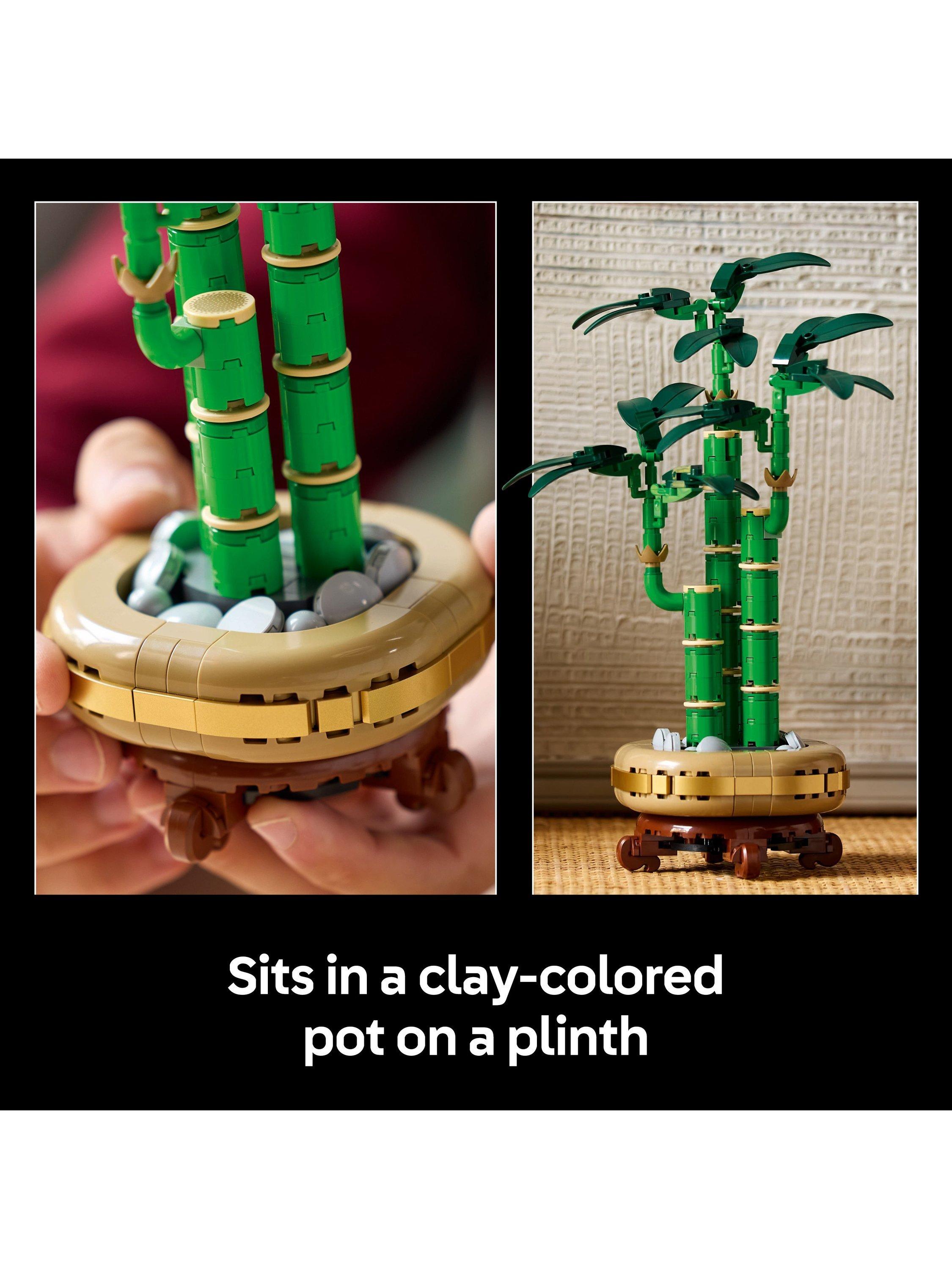 LEGO Botanicals Lucky Bamboo building set 10344, imported from the UK
