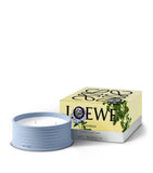 LOEWE verbena outdoor candle, UK version