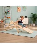 TP Toys Active Tots Wooden Bridge and Slide - British product