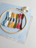 MakeBox & Co 30 Days of Spring Embroidery Kit (British brand)