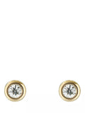 Ted Baker crystal stud earrings gold plated (British brand)