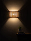 Tom Raffield wall light Birch, imported from the UK