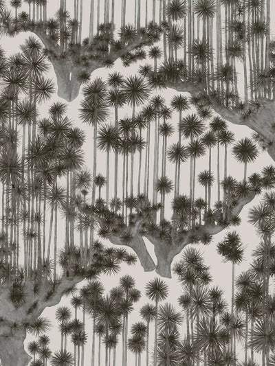 John Lewis Cole & Son Japanese Woods Wallpaper- Buy online at McGrocer