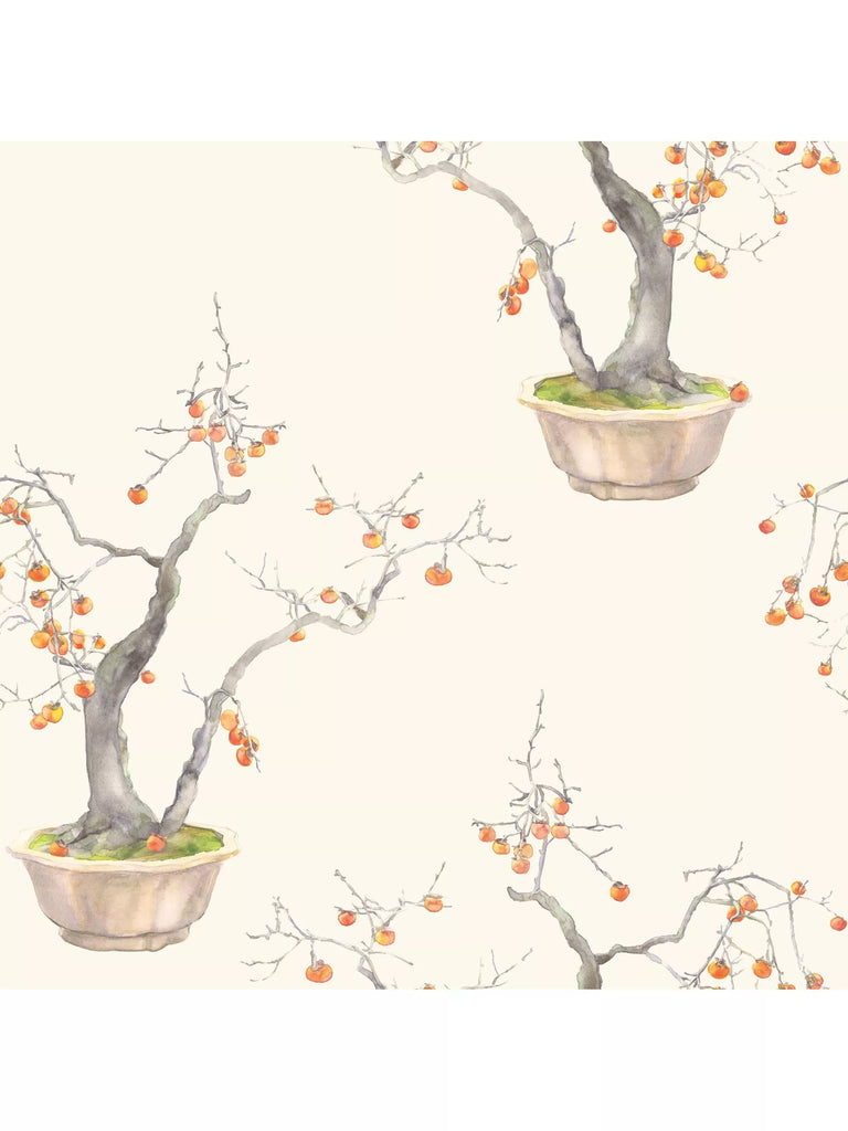 Cole & Son Kaki Persimmon Wallpaper