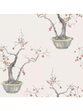 Cole & Son Kaki Persimmon Wallpaper