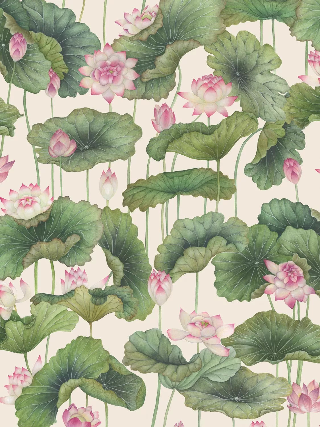 Cole & Son Lily Lotus wallpaper - British product