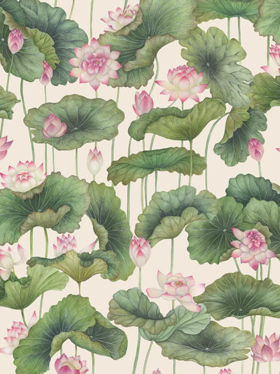 John Lewis Cole & Son Lily Lotus Decorative Wallpaper- Buy online at McGrocer