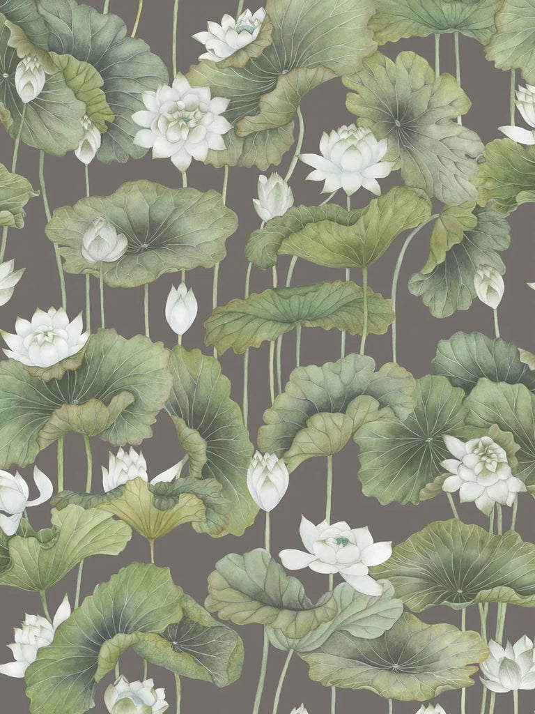 Cole & Son Lily Lotus Wallpaper