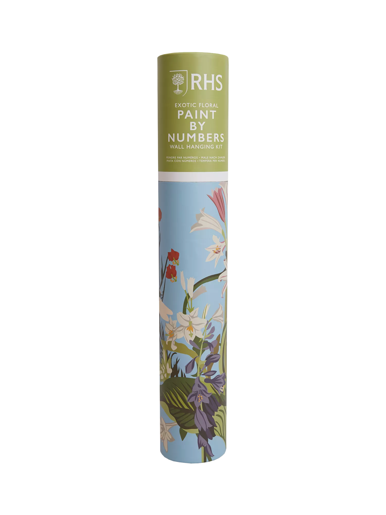 RHS paint by numbers kit exotic floral (British brand)