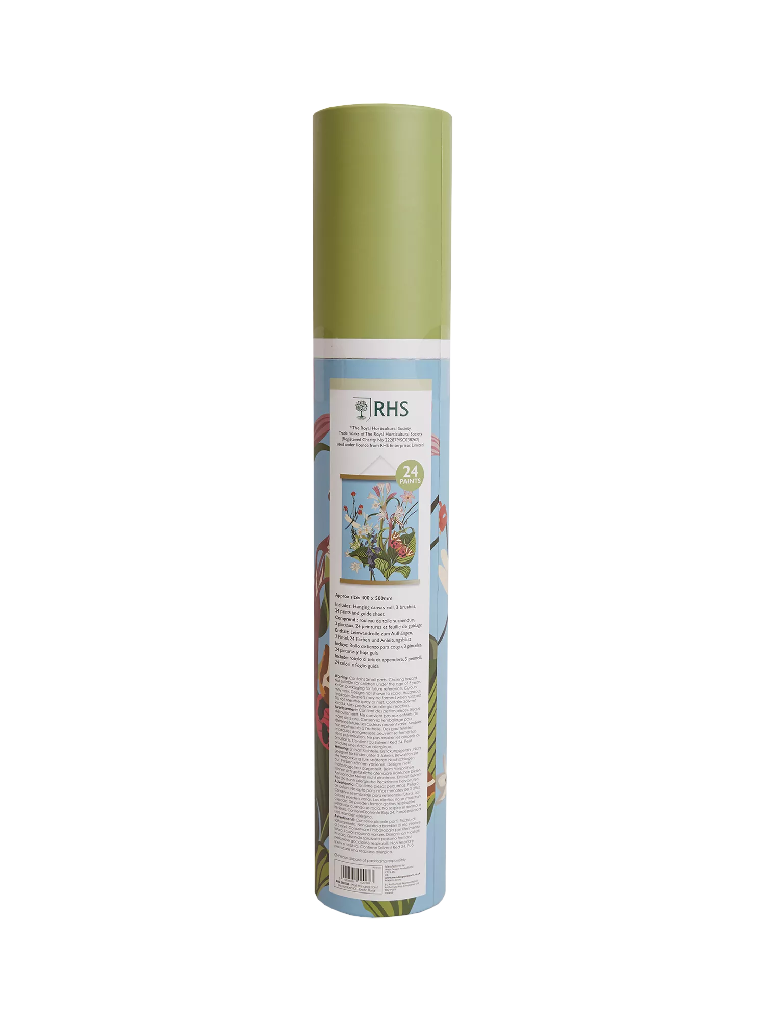 RHS paint by numbers kit exotic floral (British brand)