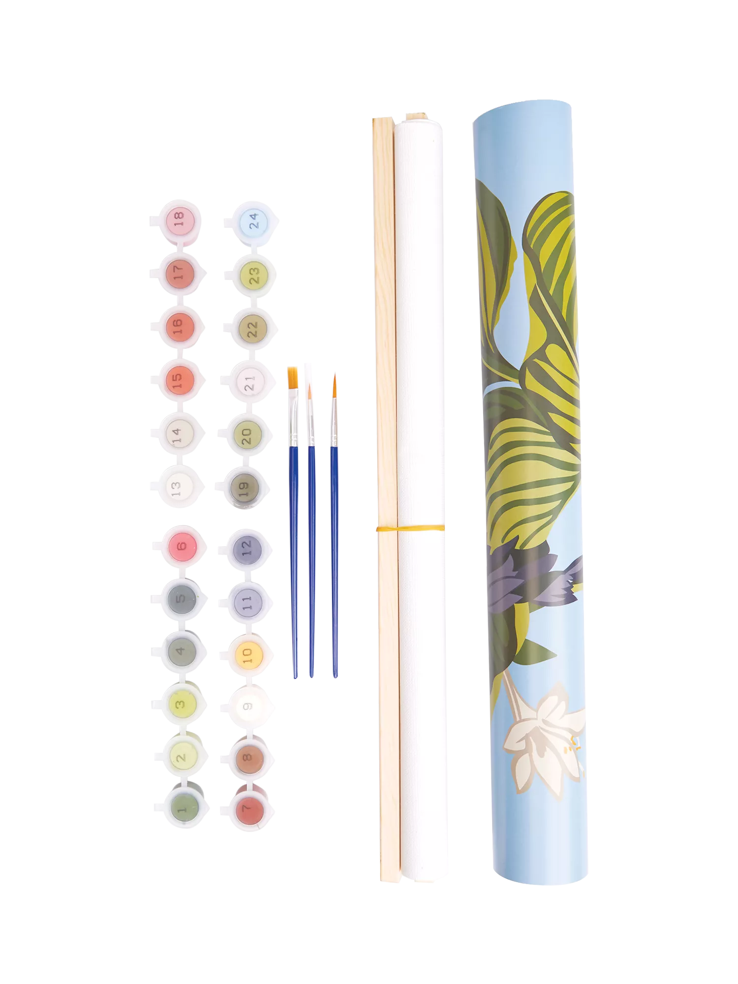 RHS paint by numbers kit exotic floral (British brand)
