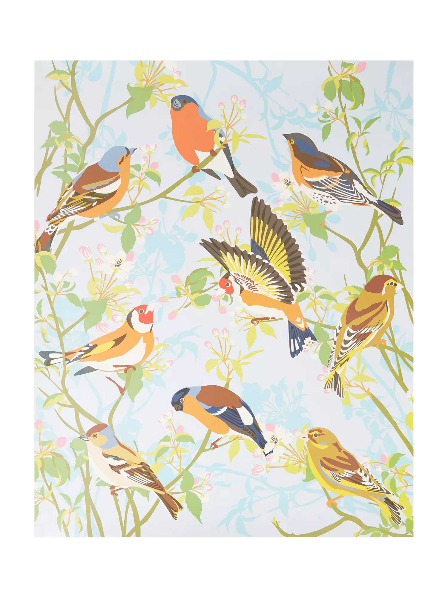 Natural History Museum Garden Birds paint by numbers kit - British product