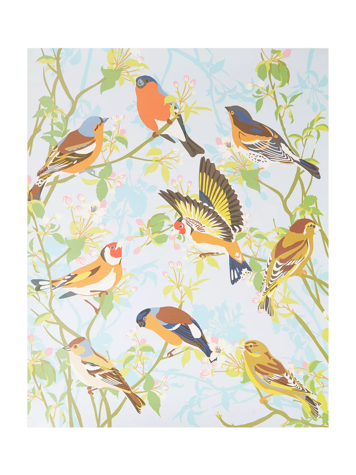 Natural History Museum Garden Birds paint by numbers kit - British product