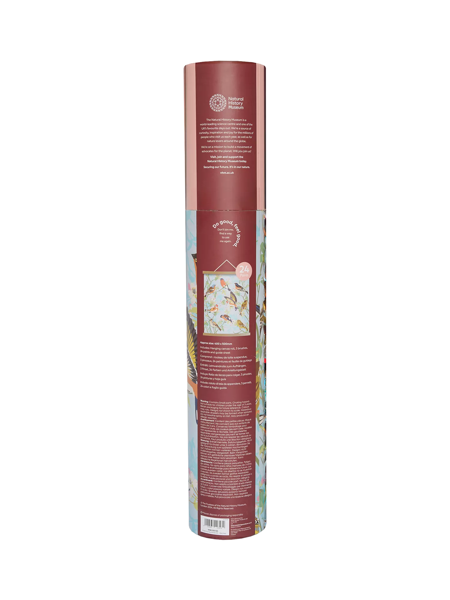 Natural History Museum Garden Birds paint by numbers kit - British product