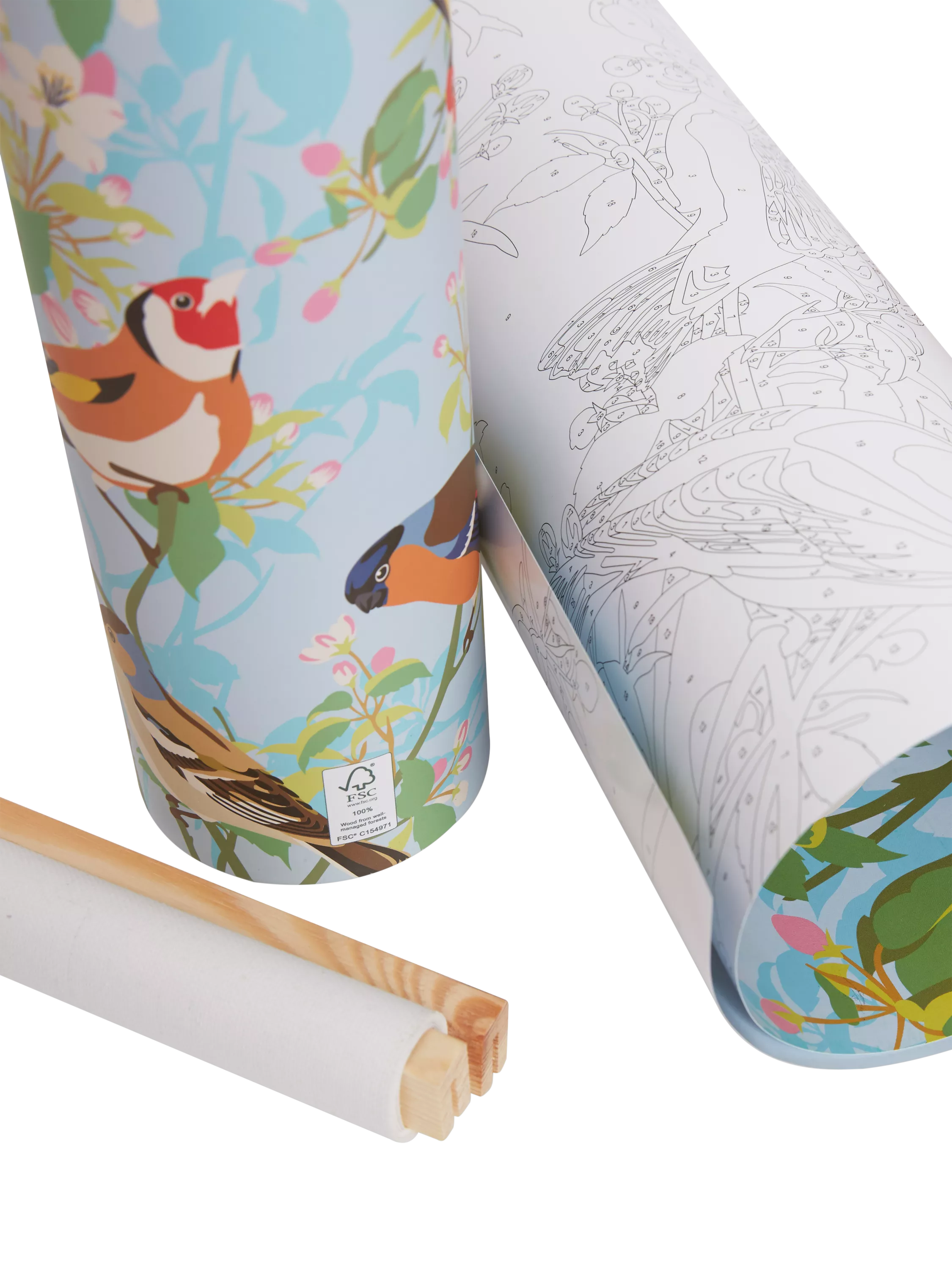 Natural History Museum Garden Birds paint by numbers kit - British product