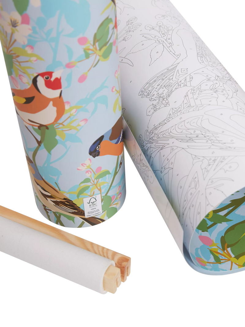 Natural History Museum Garden Birds paint by numbers kit - British product