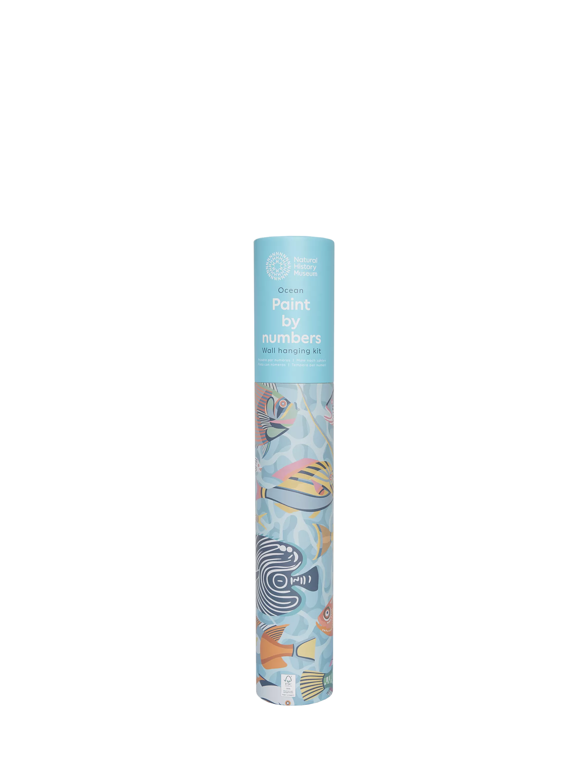 Natural History Museum Ocean paint by numbers kit (British brand)