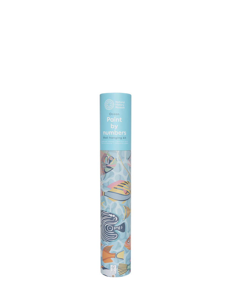 Natural History Museum Ocean paint by numbers kit (British brand)