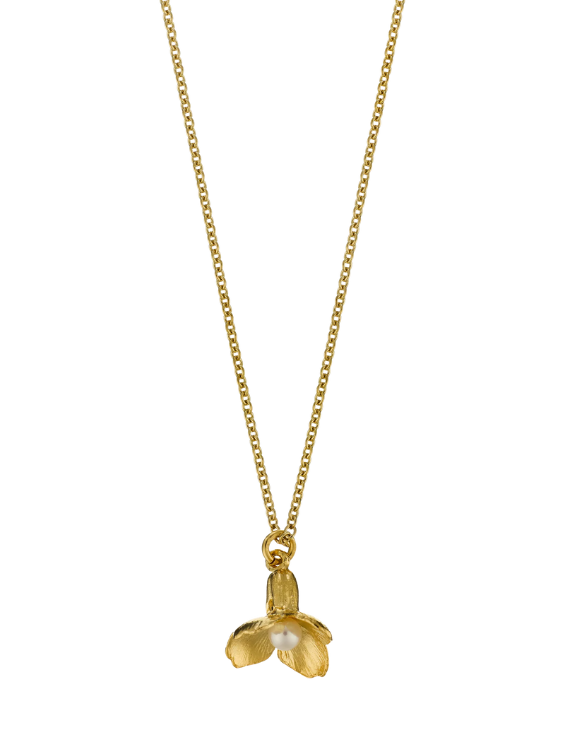 Alex Monroe cuckoo flower necklace in gold with freshwater pearl (British brand)
