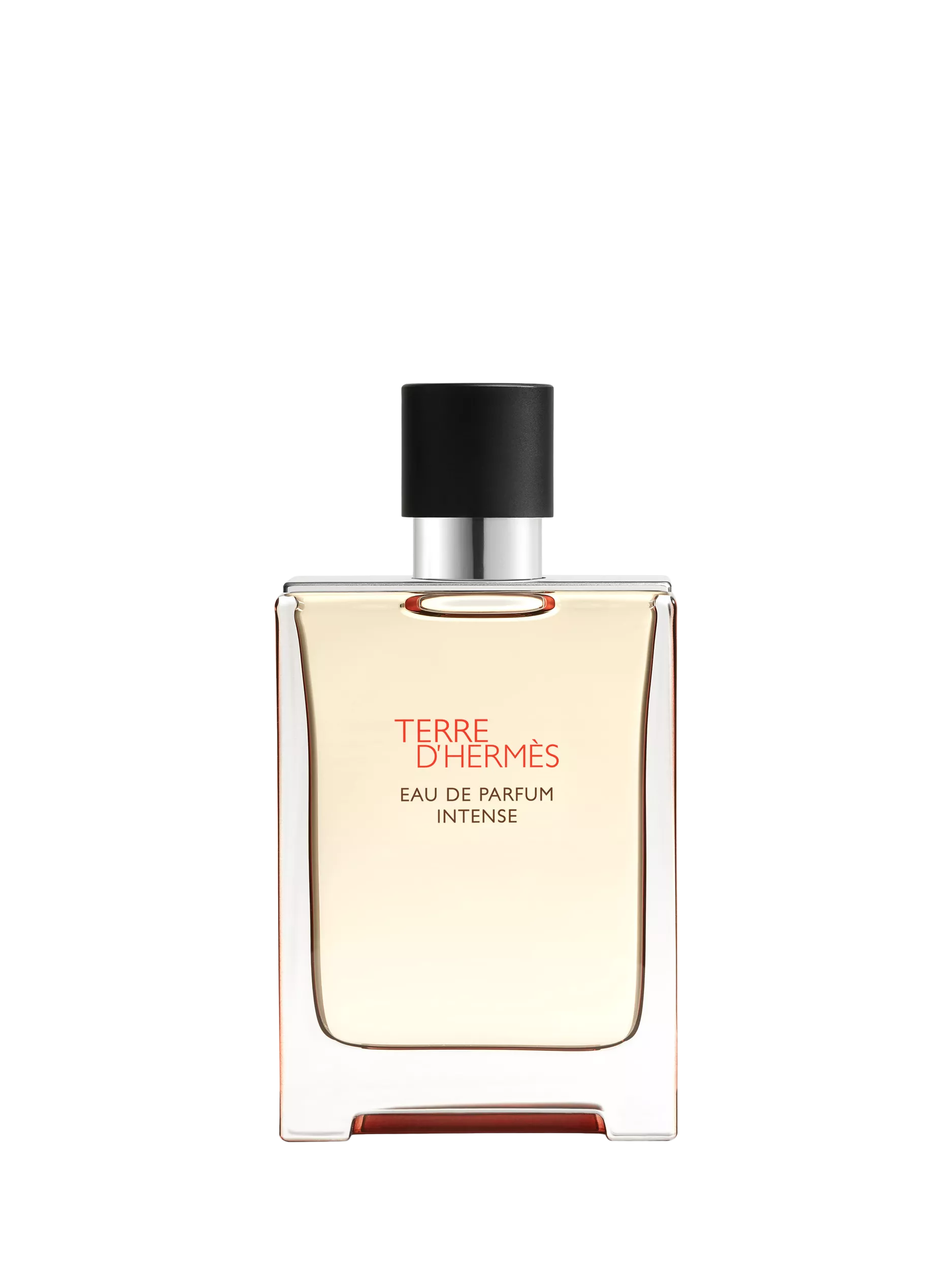 Hermès Terre d'Hermès Eau de Parfum Intense 100ml