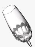 Waterford Mixology cut glass champagne flute set, UK version
