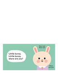 Nosy Crow Little Bunny board book with mirror flaps (British brand)