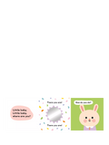 Nosy Crow Little Bunny board book with mirror flaps (British brand)