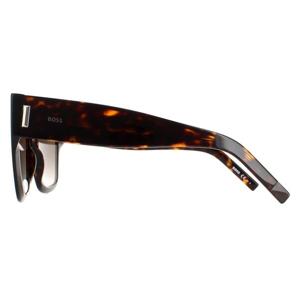 Hugo Boss sunglasses brown gradient, UK version