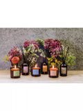 Stoneglow Wisteria Bloom reed diffuser 160ml, UK version