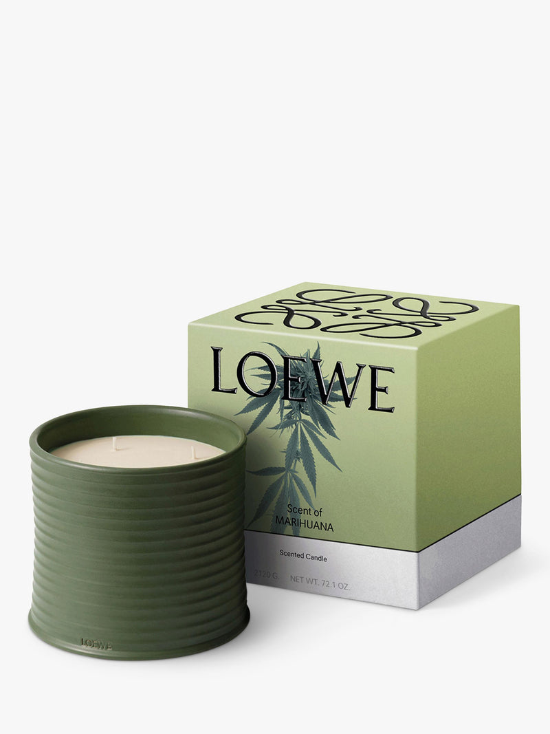 LOEWE Scent of Marihuana candle in terracotta vessel (British brand)