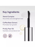 BY TERRY Browgel Blackstar clear brow gel 0.09g (British brand)