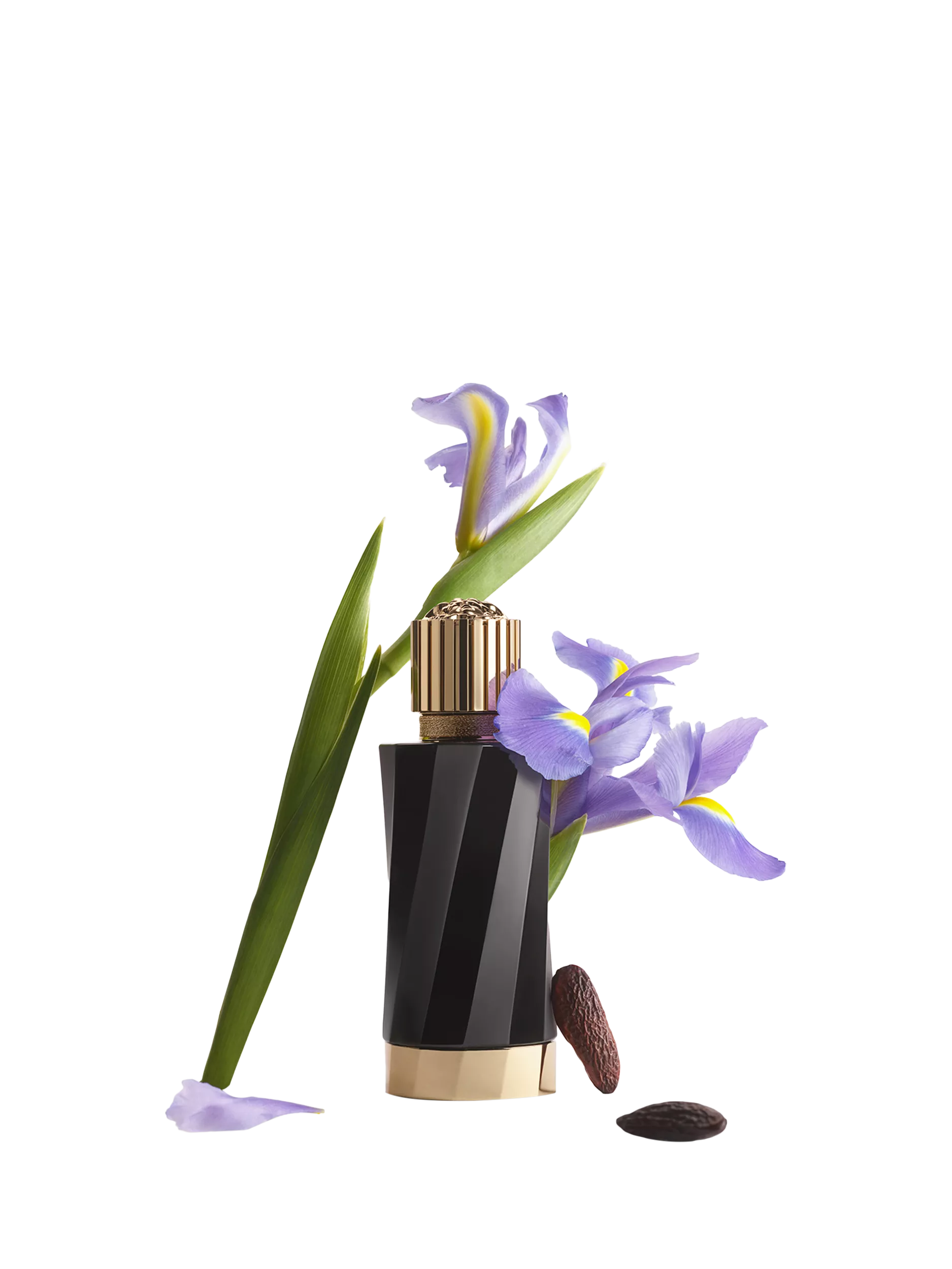 Versace Iris d'Élite Eau de Parfum 100ml, UK version