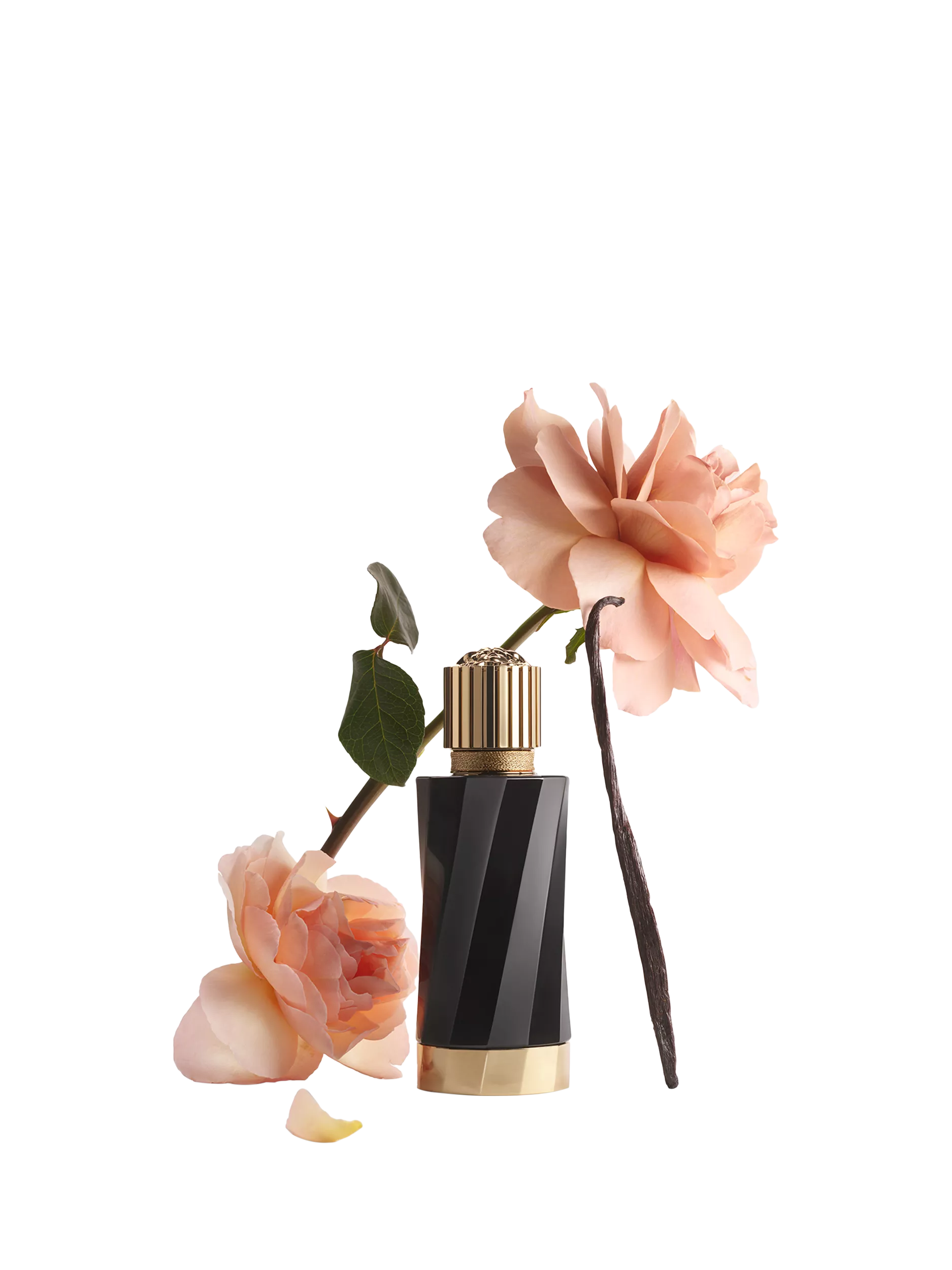 Versace Vanille Rouge eau de parfum 100ml (British brand)
