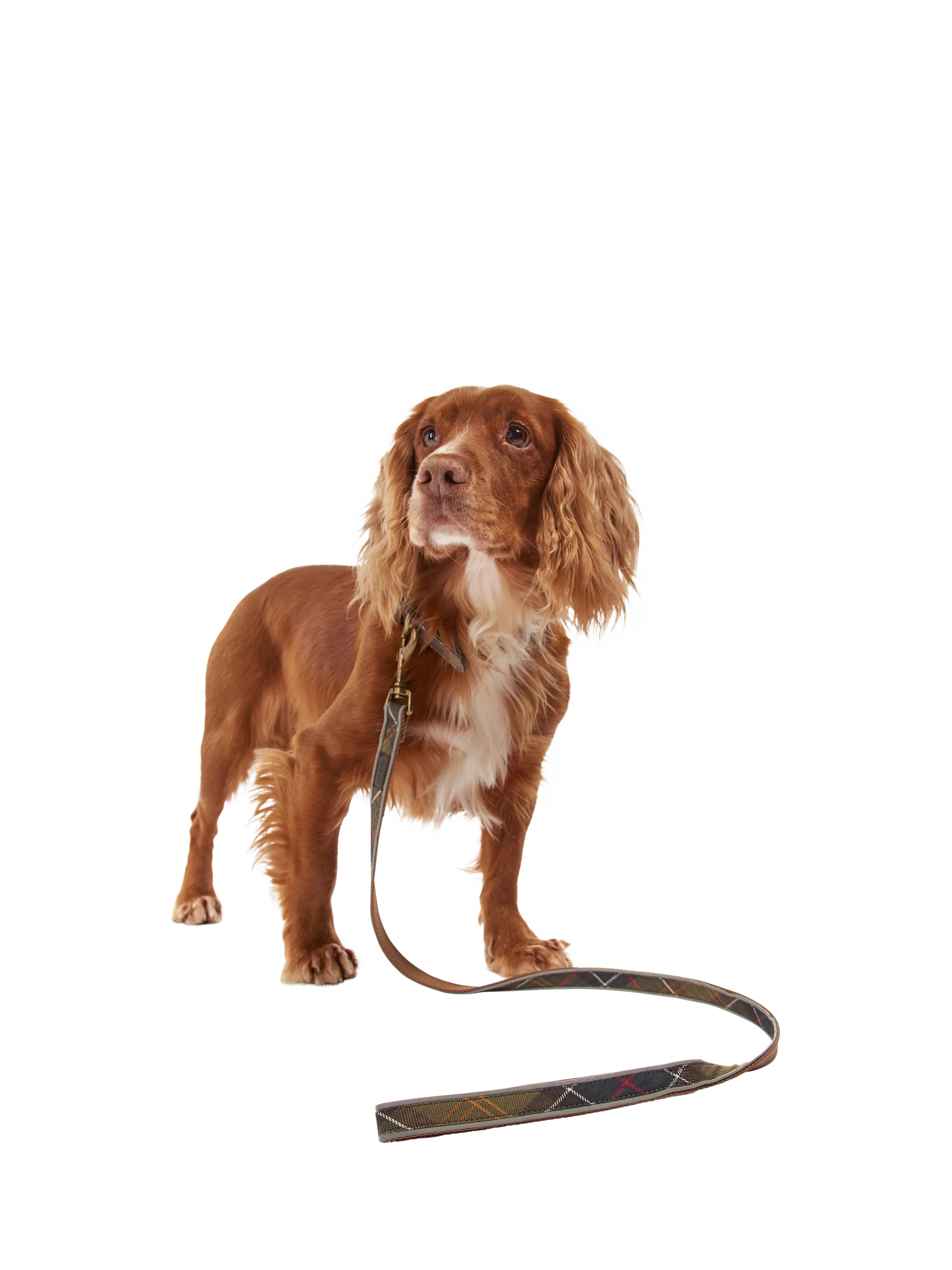 Barbour tartan dog lead 100cm, imported from the UK