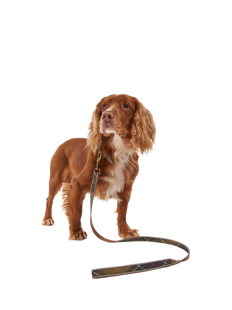 Barbour tartan dog lead 100cm, imported from the UK