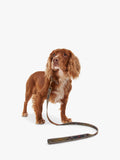 Barbour tartan dog lead 100cm, imported from the UK