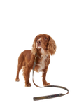 Barbour tartan dog lead 100cm, imported from the UK