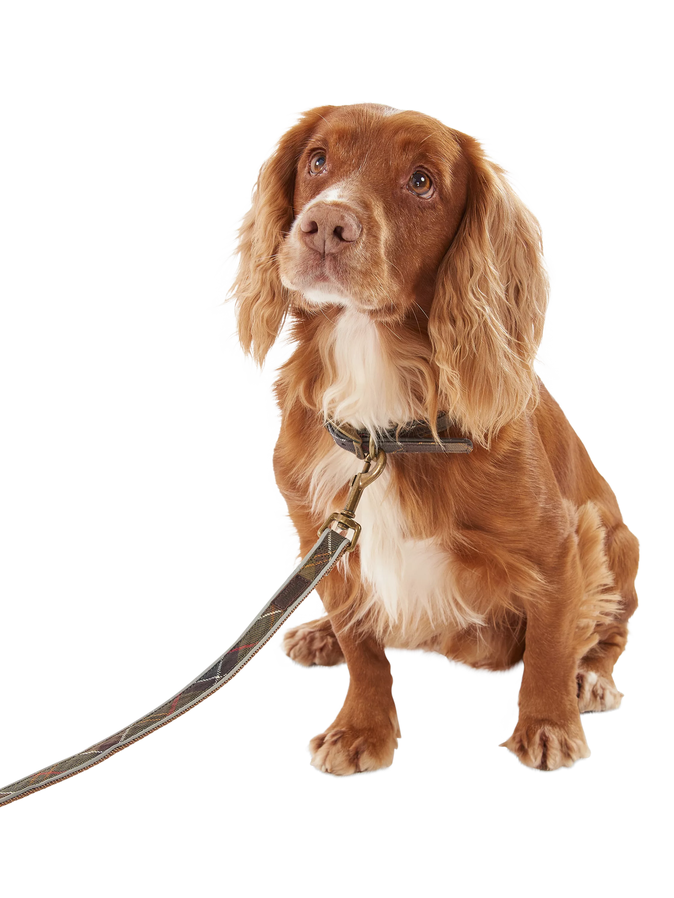 Barbour tartan dog lead 100cm, imported from the UK