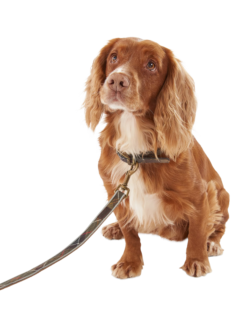 Barbour tartan dog lead 100cm, imported from the UK