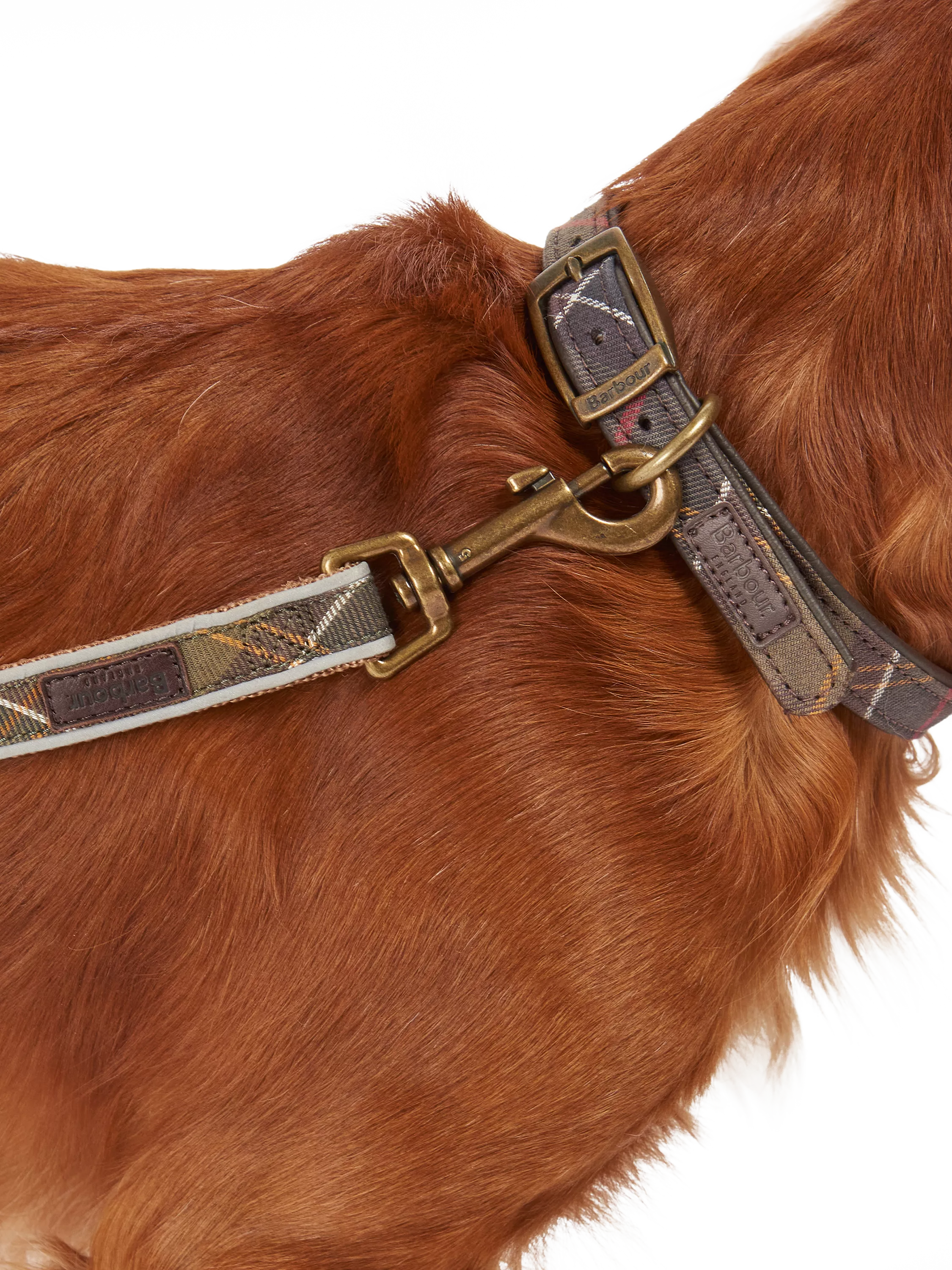 Barbour tartan dog lead 100cm, imported from the UK