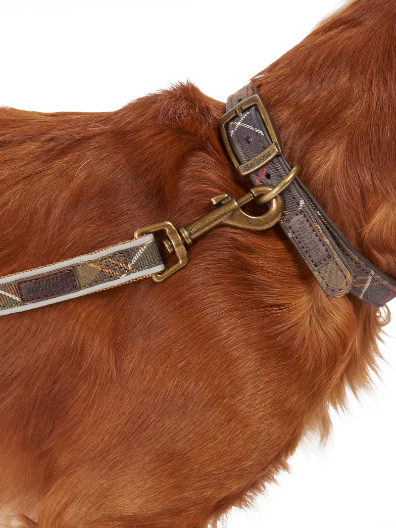 Barbour tartan dog lead 100cm, imported from the UK