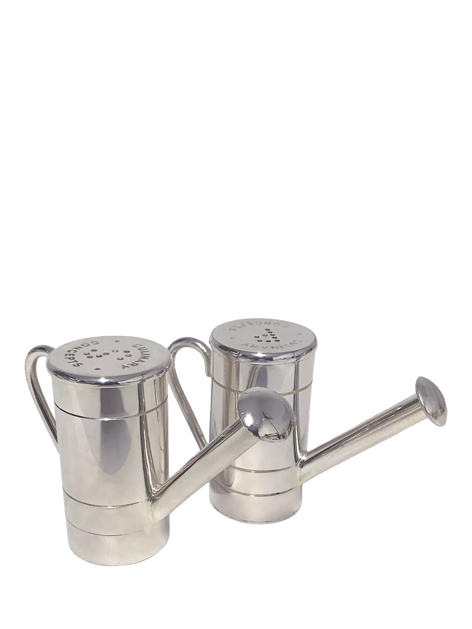 Culinary Concepts watering can salt and pepper set, imported from the UK