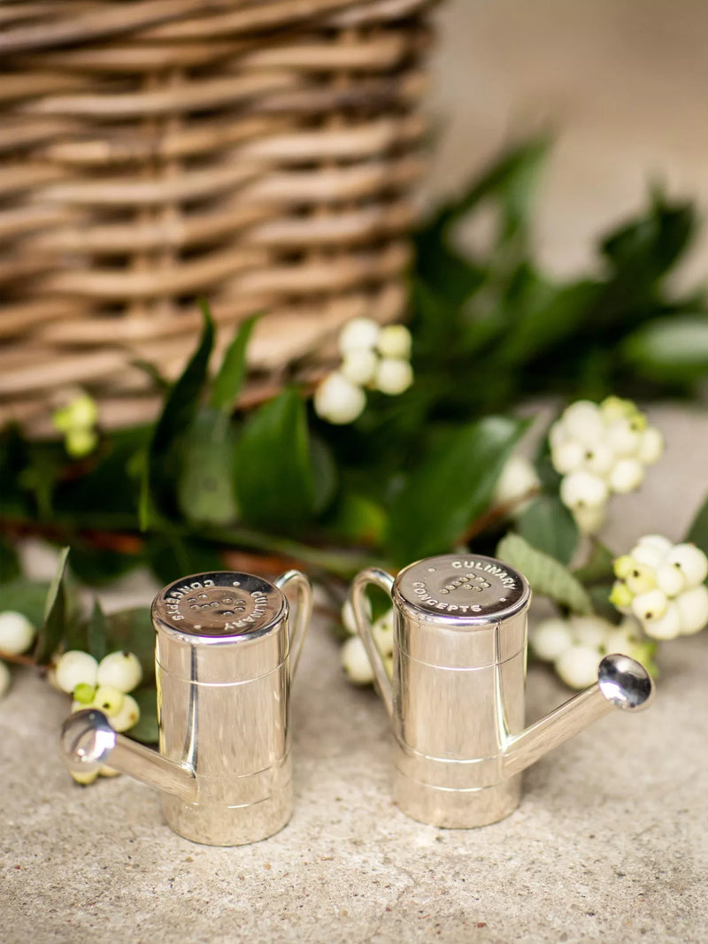 Culinary Concepts watering can salt and pepper set, imported from the UK