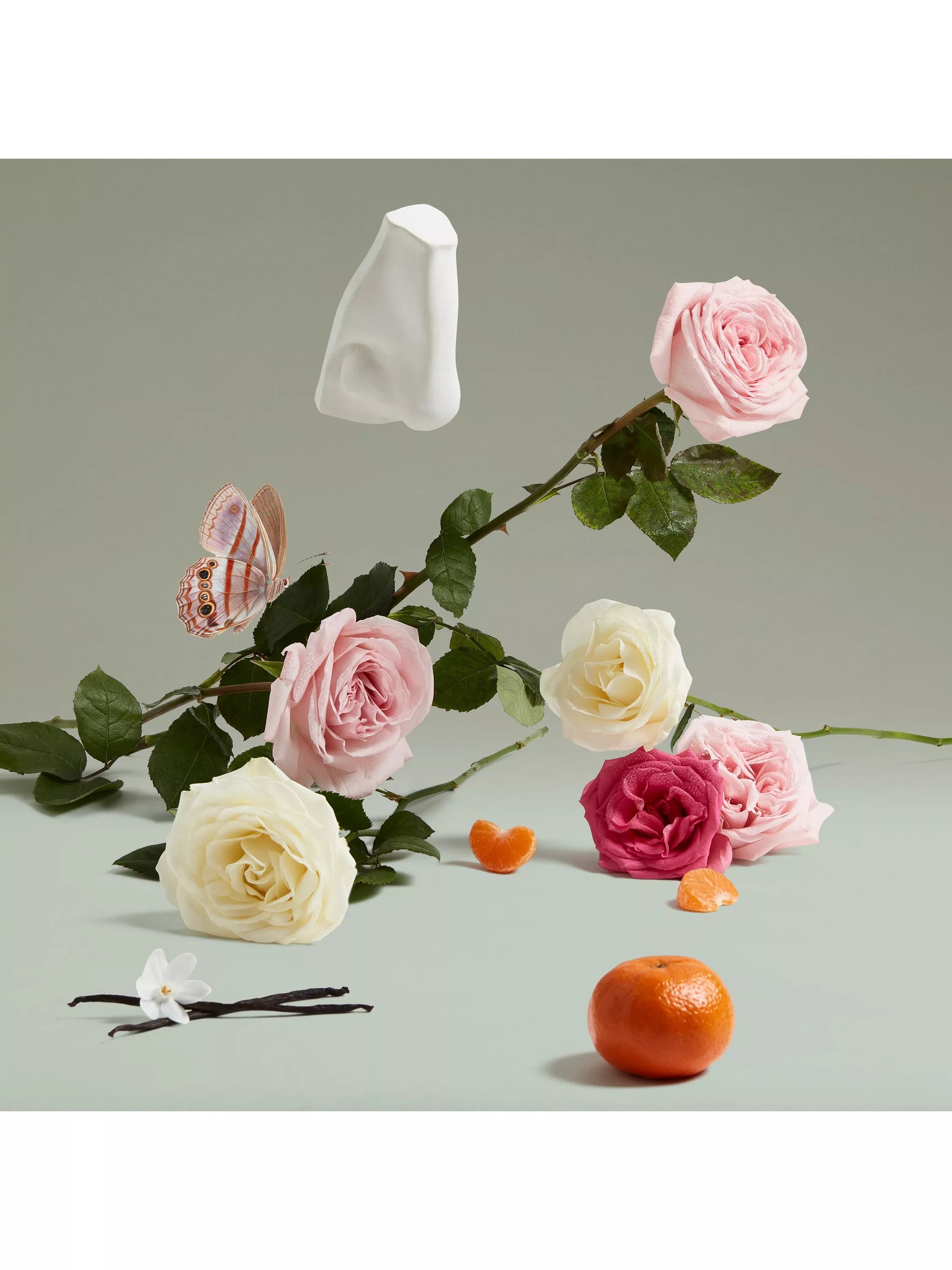 Penhaligon's The Coveted Duchess Rose eau de parfum 75ml, UK version