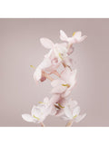 Valentino Valentina Eau de Parfum 100ml - British product