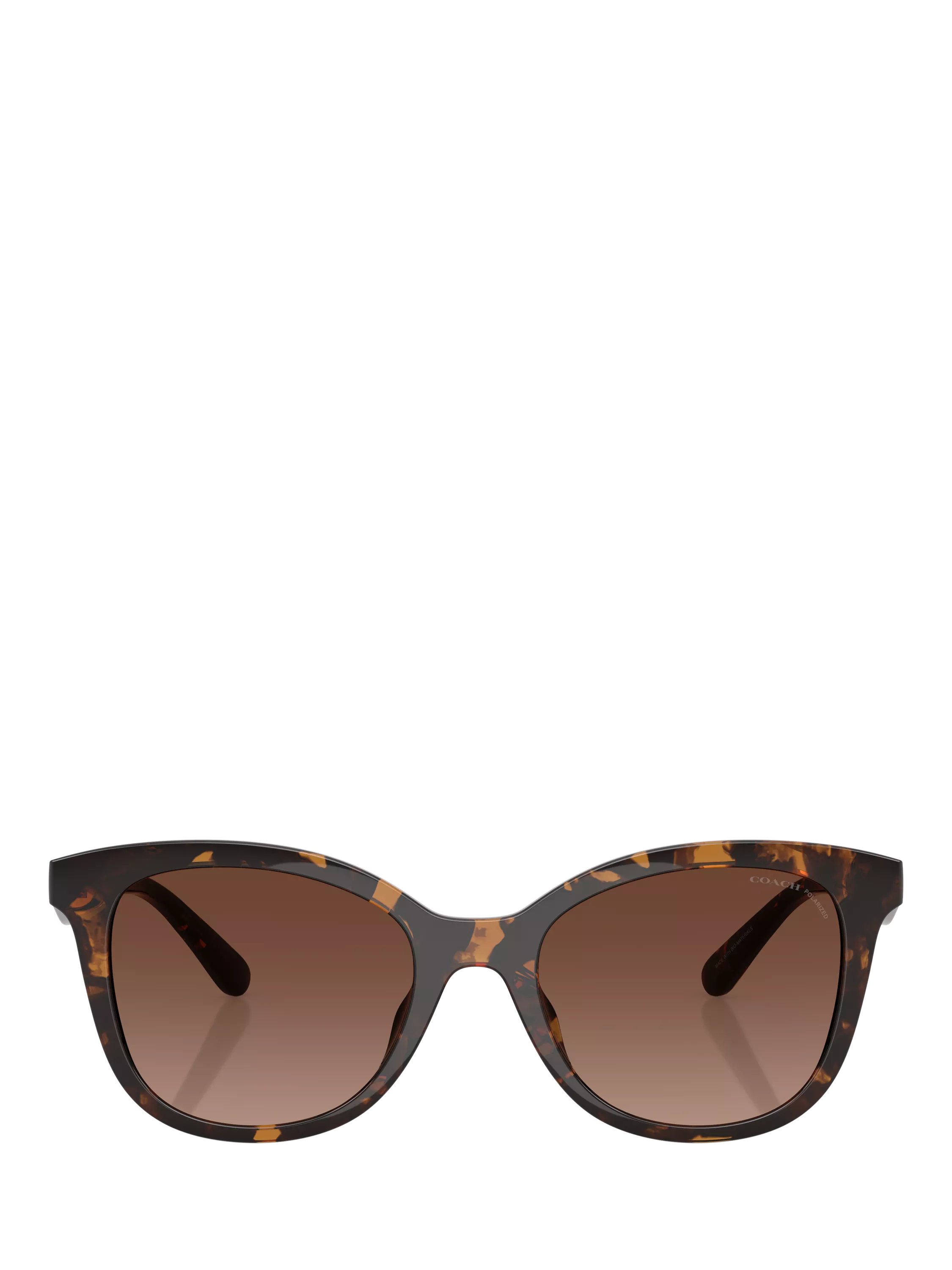 Coach D-frame polarised gradient brown sunglasses, UK version