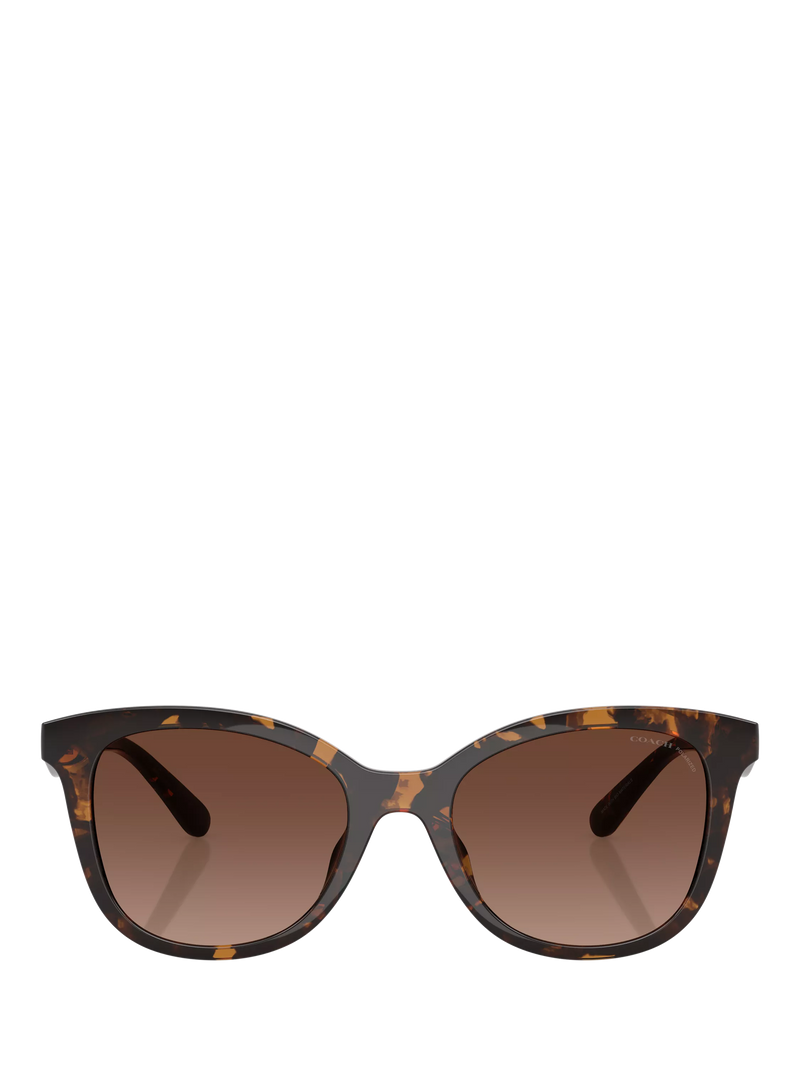 Coach D-frame polarised gradient brown sunglasses, UK version