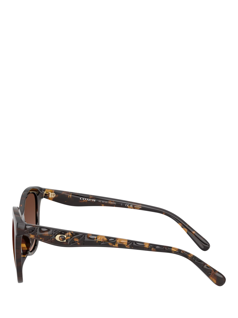 Coach D-frame polarised gradient brown sunglasses, UK version